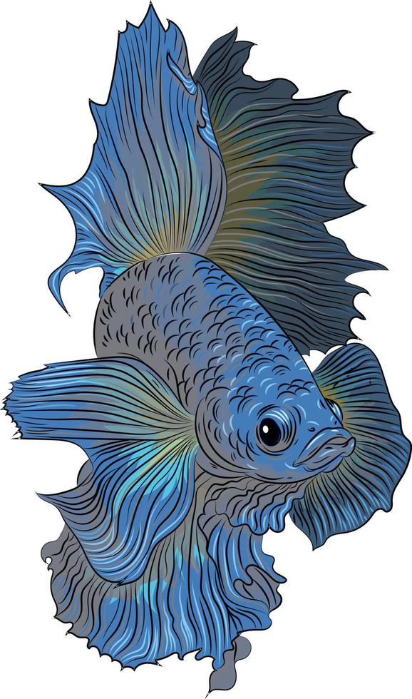 vector illustratie van schattig betta vis