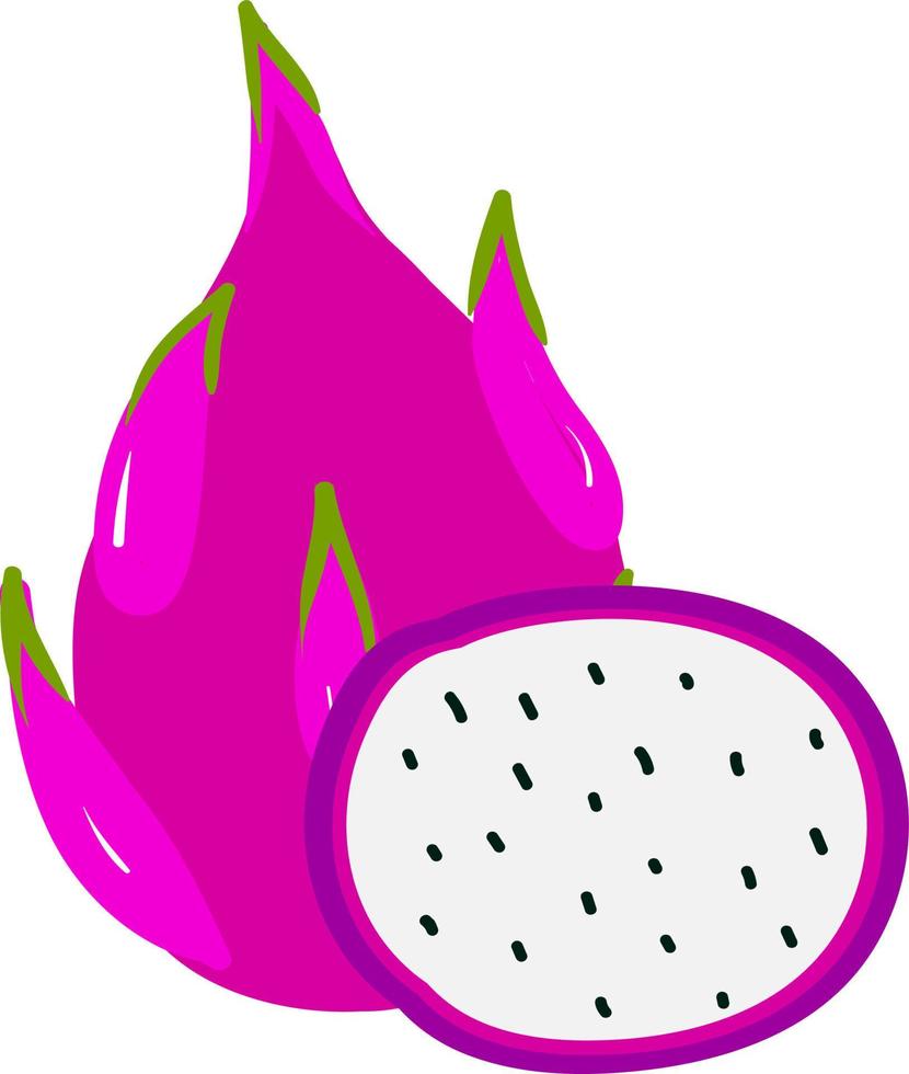 draak fruit in voor de helft, illustratie, vector Aan wit achtergrond.