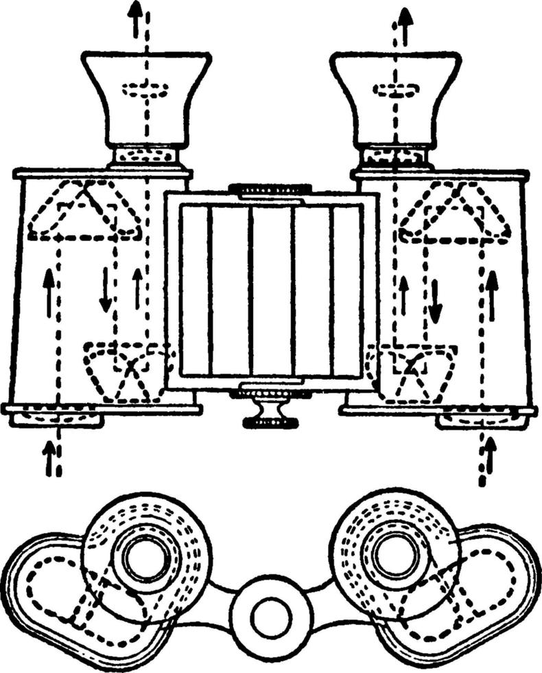 verrekijker, wijnoogst illustratie. vector