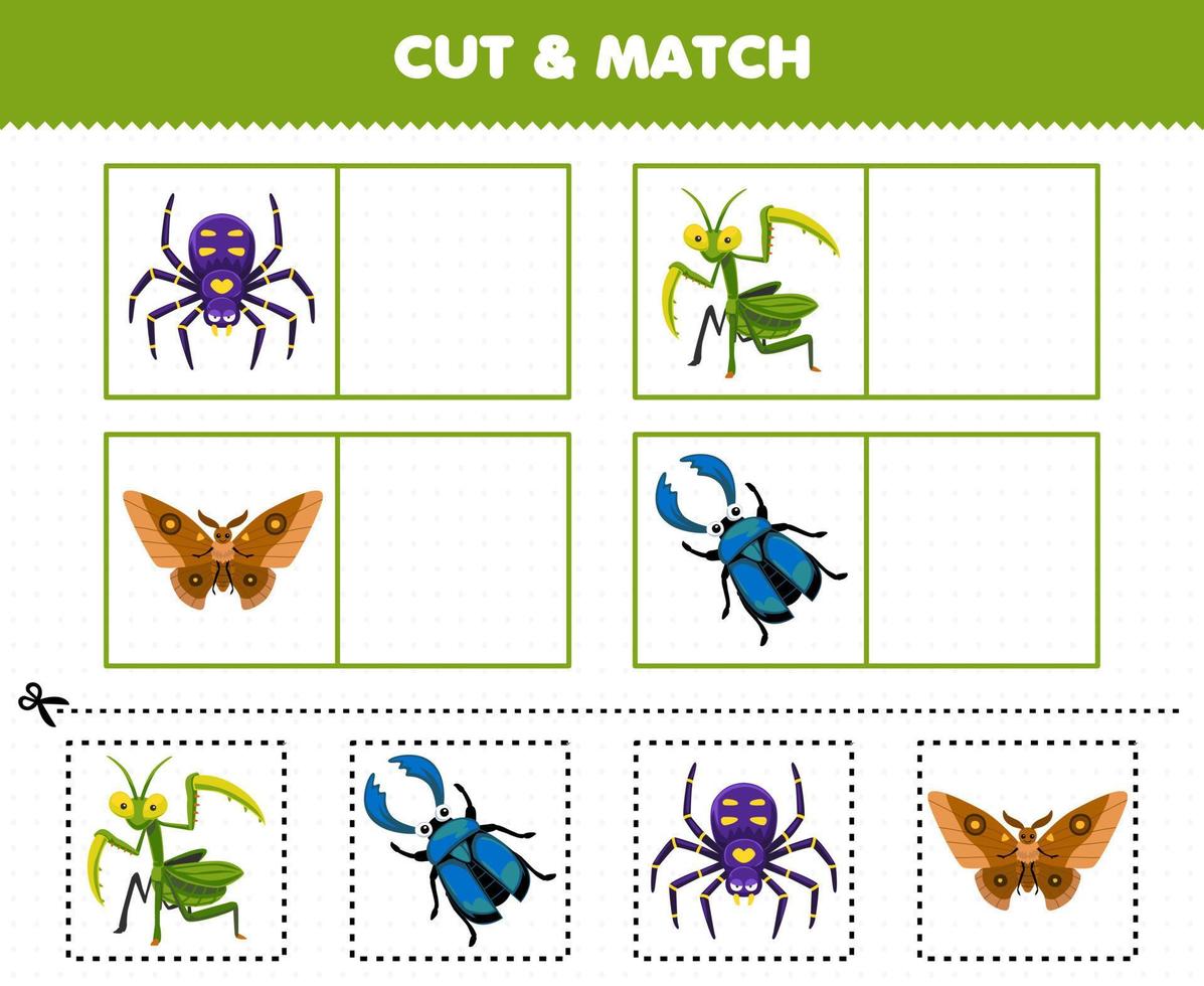 onderwijs spel voor kinderen besnoeiing en bij elkaar passen de dezelfde afbeelding van schattig tekenfilm spin bidsprinkhaan mot kever afdrukbare kever werkblad vector