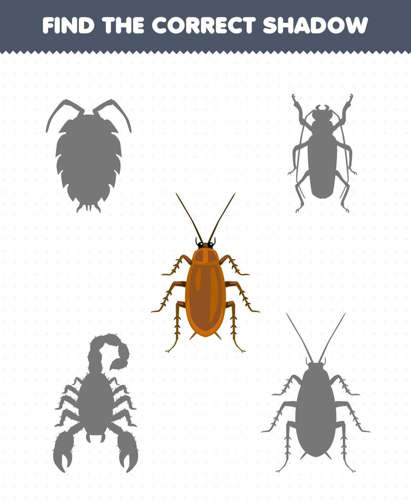 onderwijs spel voor kinderen vind de correct schaduw reeks van schattig tekenfilm kakkerlak afdrukbare kever werkblad vector
