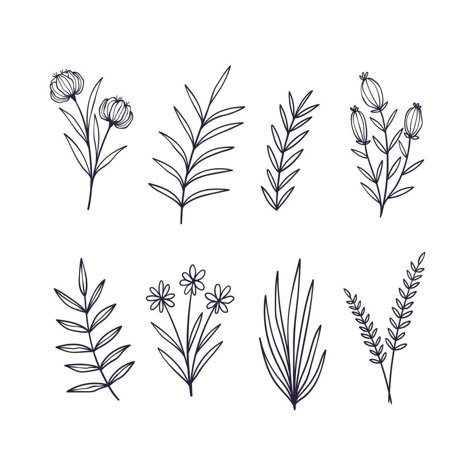 reeks van hand- getrokken botanisch bloem elementen. vector illustratie geïsoleerd Aan wit achtergrond