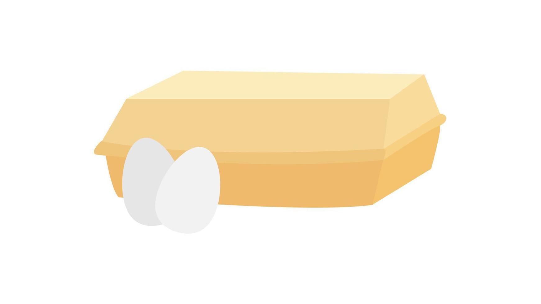 ei doos opslagruimte of verpakking, eieren in dienblad geïsoleerd Aan wit achtergrond. vector