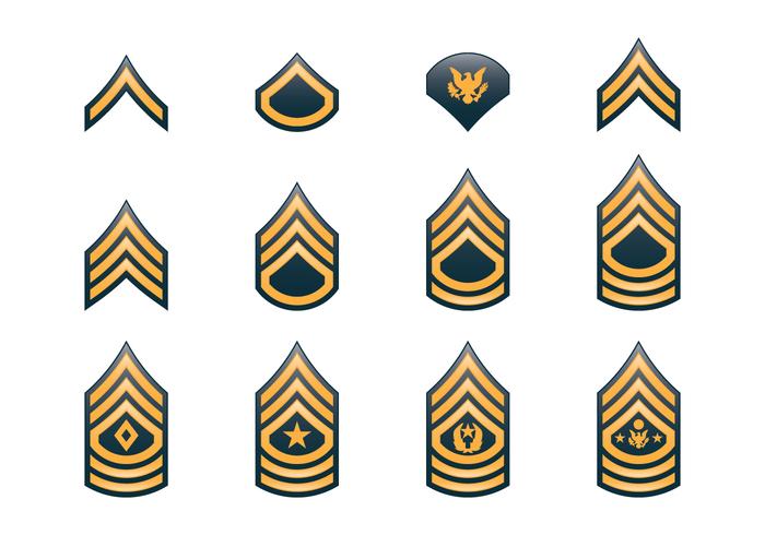 Army Rank Insignia vector