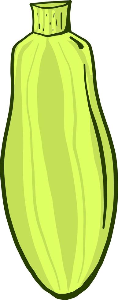 groen courgette ,illustratie, vector Aan wit achtergrond