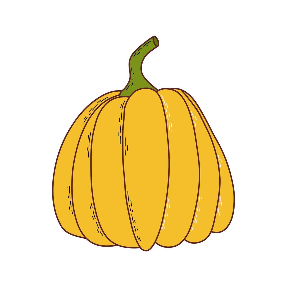 schattig pompoen. dankzegging en halloween element. vector illustratie in hand- getrokken stijl