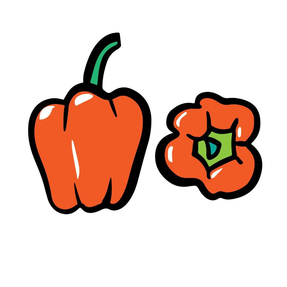 rood zoet peper. hand- getrokken kleurrijk vector illustratie. geïsoleerd Aan wit achtergrond.