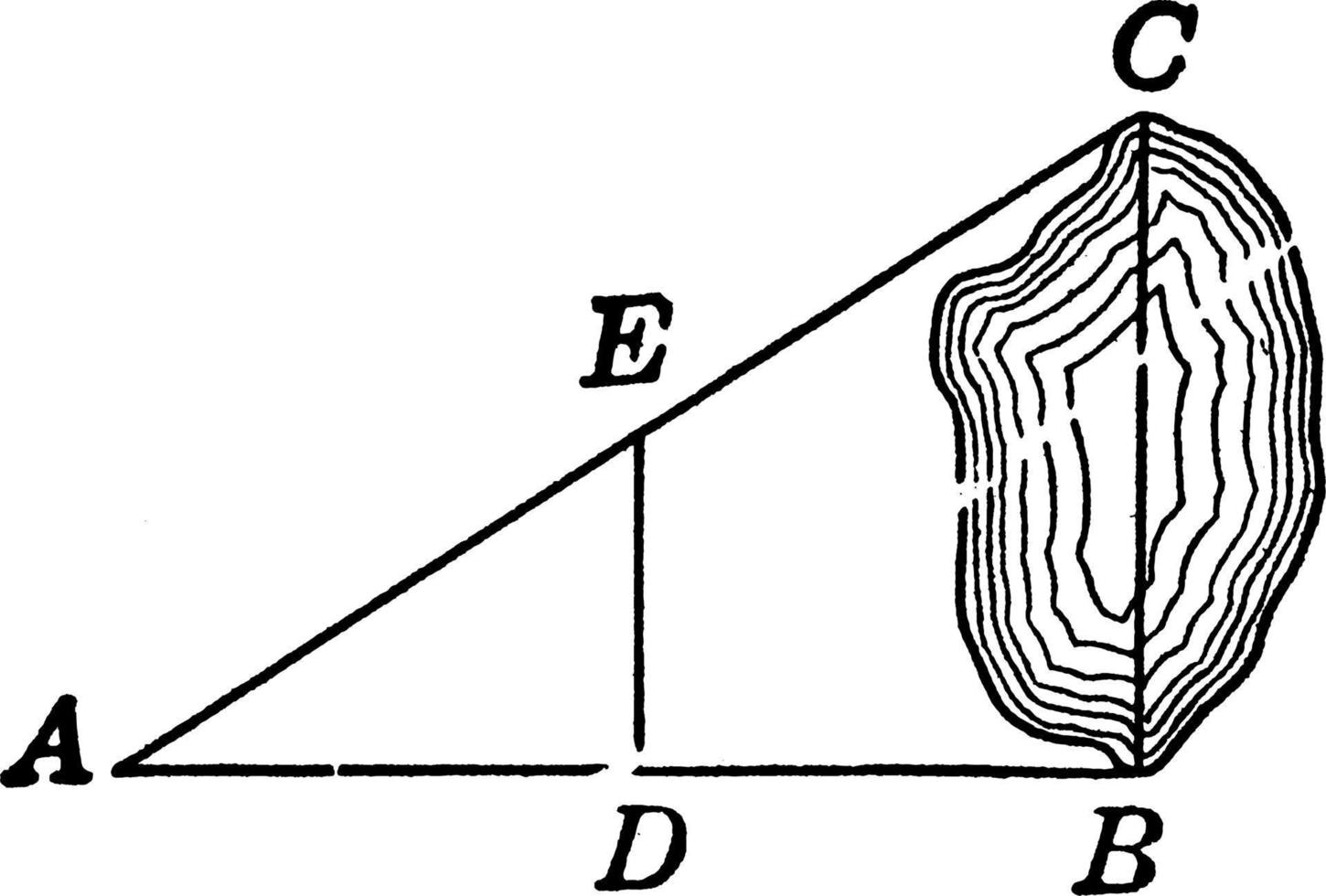 driehoek, wijnoogst illustratie. vector