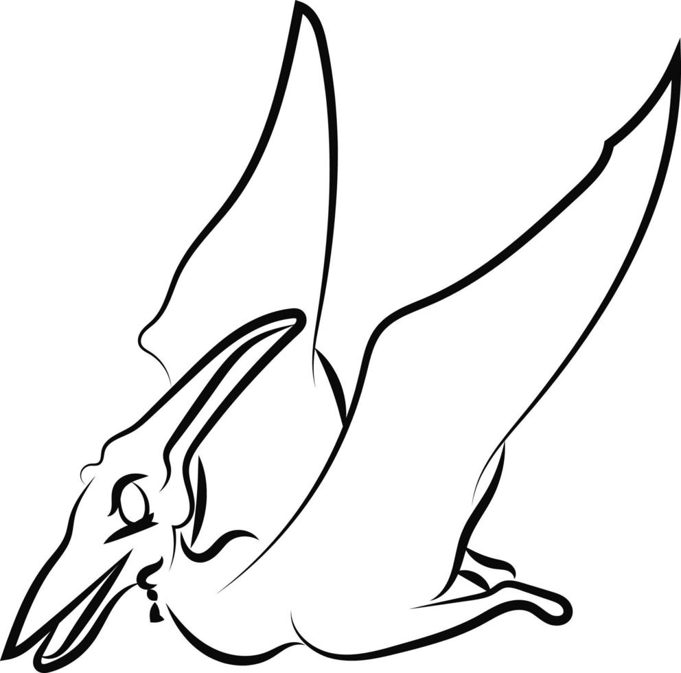 pteranodon tekening, illustratie, vector Aan wit achtergrond.
