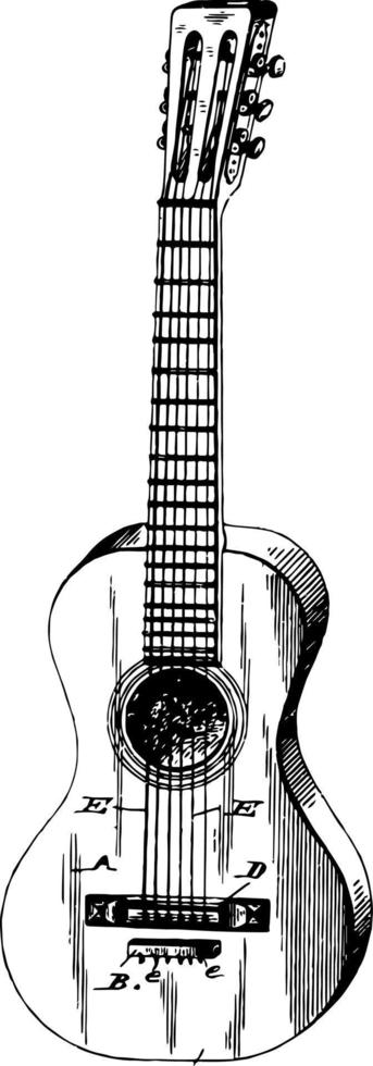 nylon- draad klassiek gitaar, wijnoogst illustratie. vector