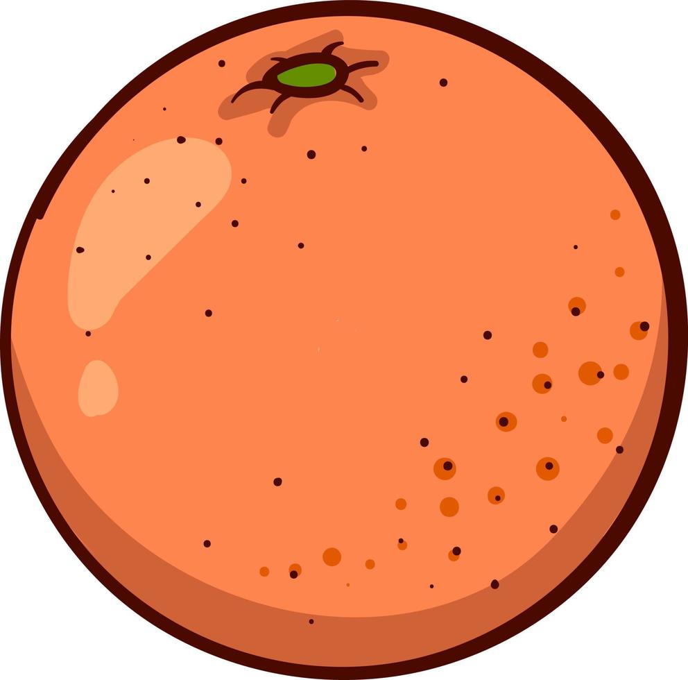 oranje de fruit, illustratie, vector Aan een wit achtergrond.