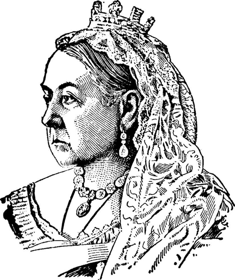 koningin Victoria van Engeland wijnoogst illustratie. vector