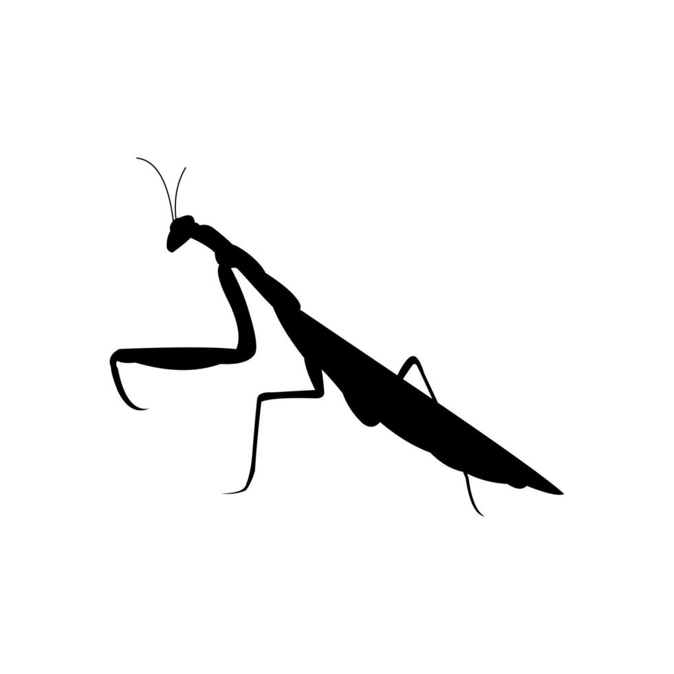 bidden bidsprinkhaan insect zwart silhouet vector