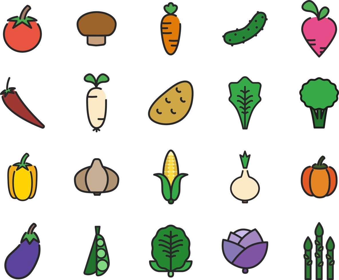 vers groenten, illustratie, Aan een wit achtergrond. vector