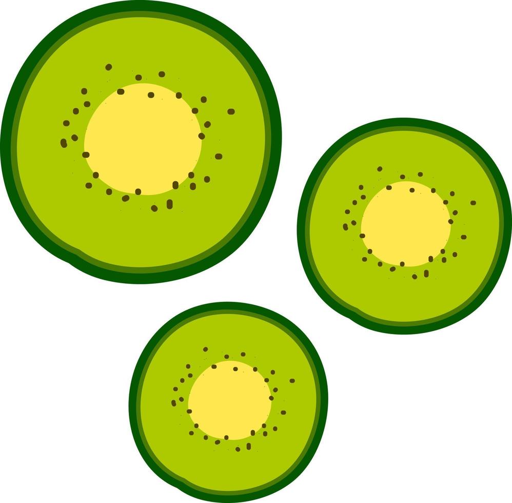 kiwi plakjes, illustratie, vector Aan wit achtergrond.