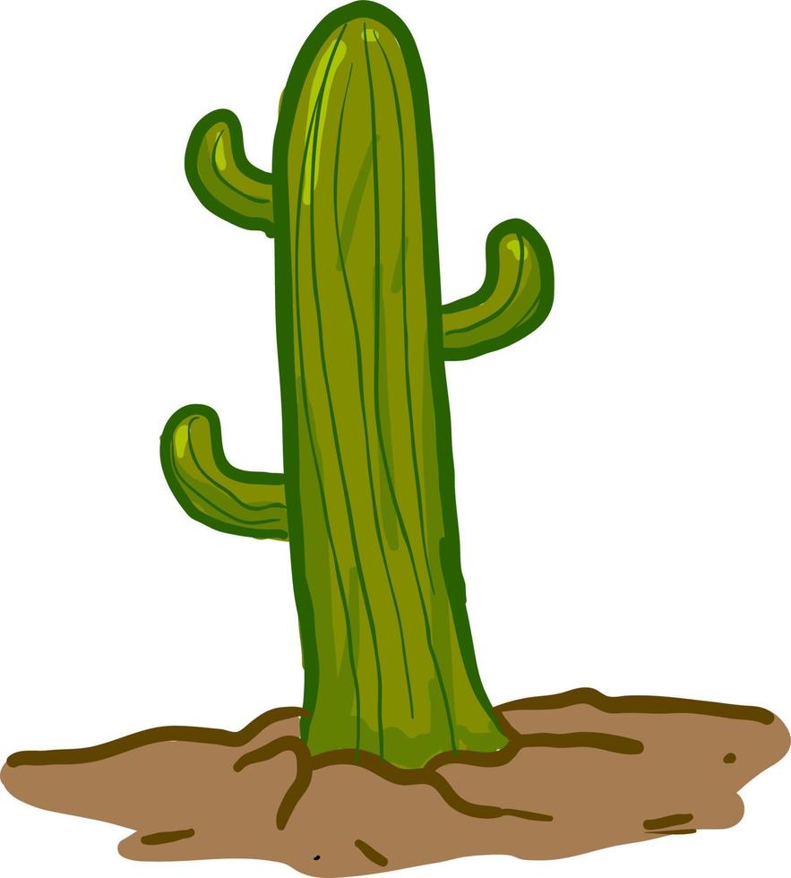 cactus groeit in land, illustratie, vector Aan wit achtergrond.
