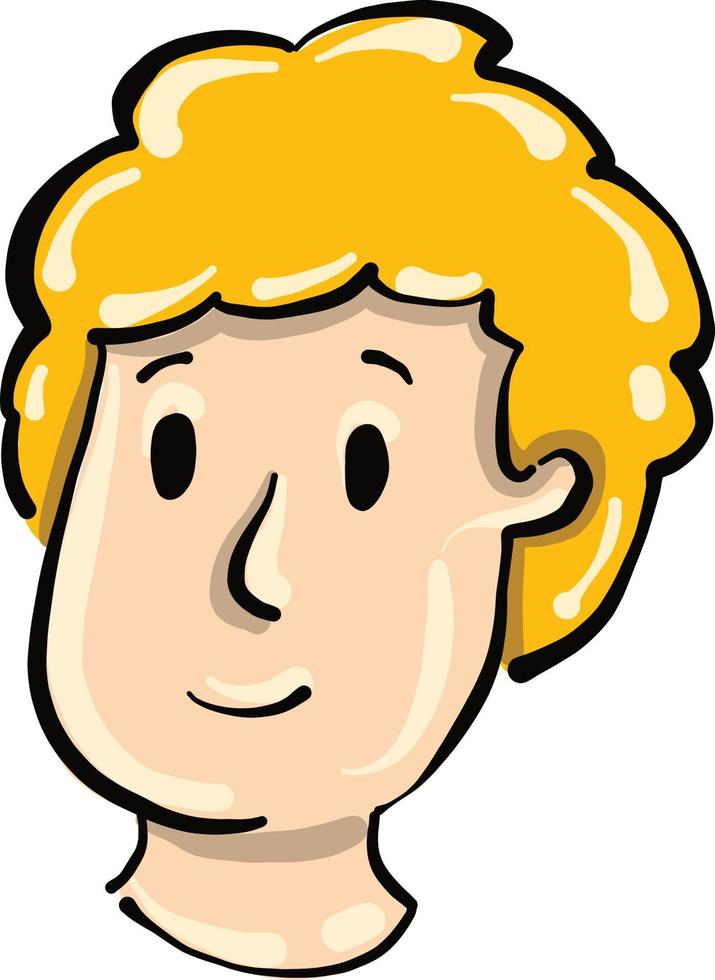 jongen met blond haar, illustratie, vector Aan een wit achtergrond.