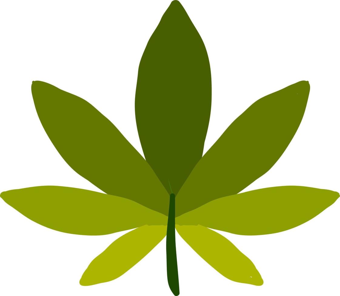 groen marihuana, illustratie, vector Aan wit achtergrond.