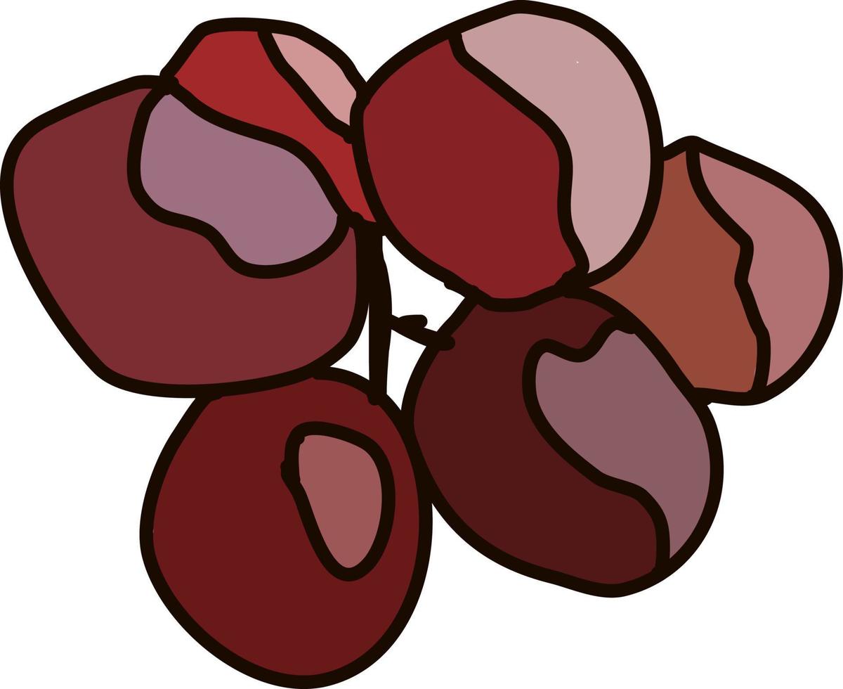 Purper druiven, illustratie, vector Aan wit achtergrond.