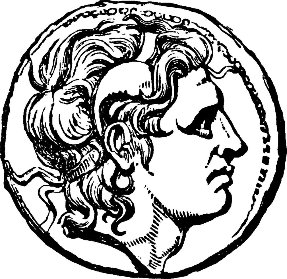 Alexander de groot, wijnoogst illustratie. vector