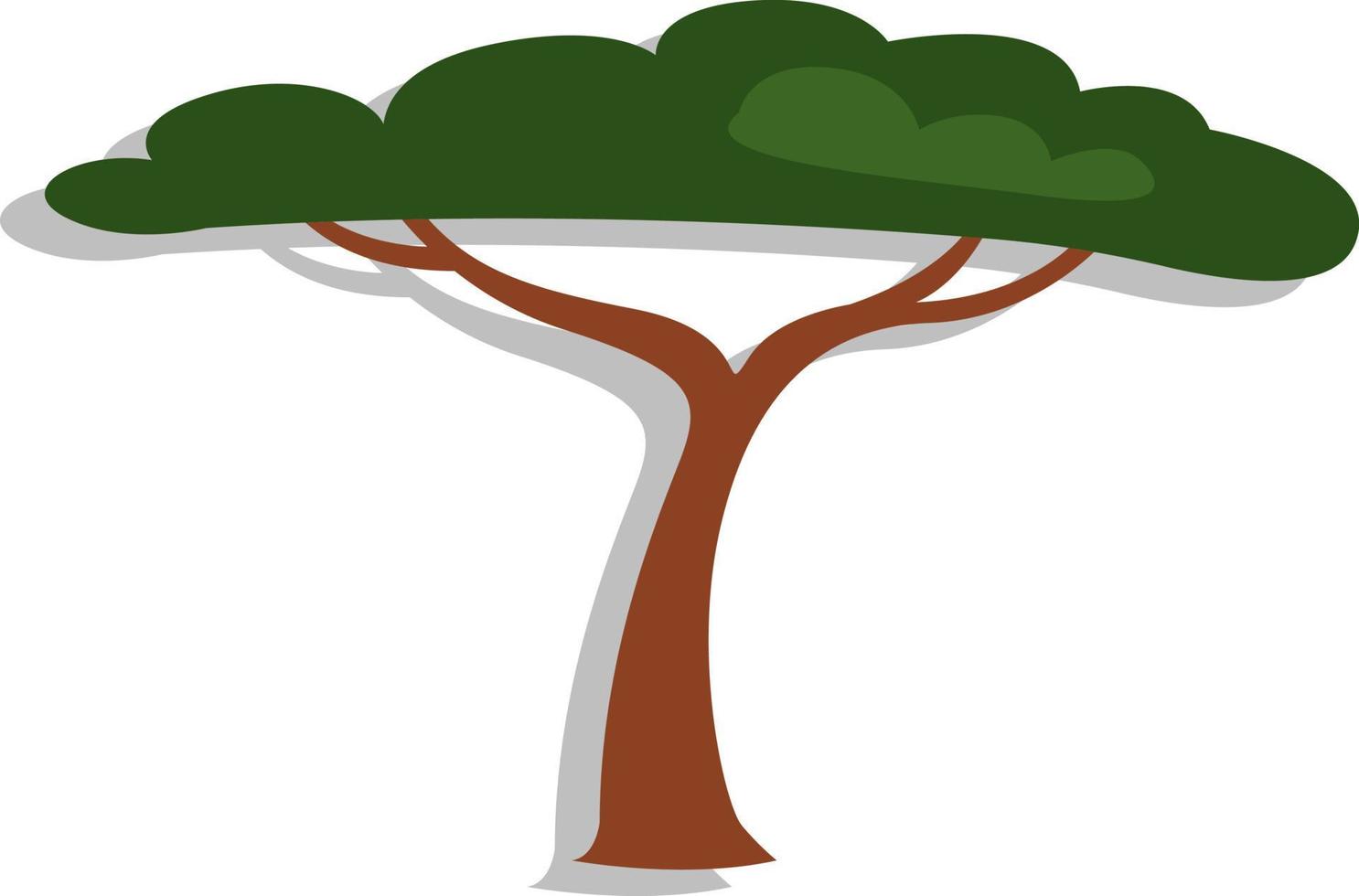 Afrikaanse boom, illustratie, vector, Aan een wit achtergrond. vector