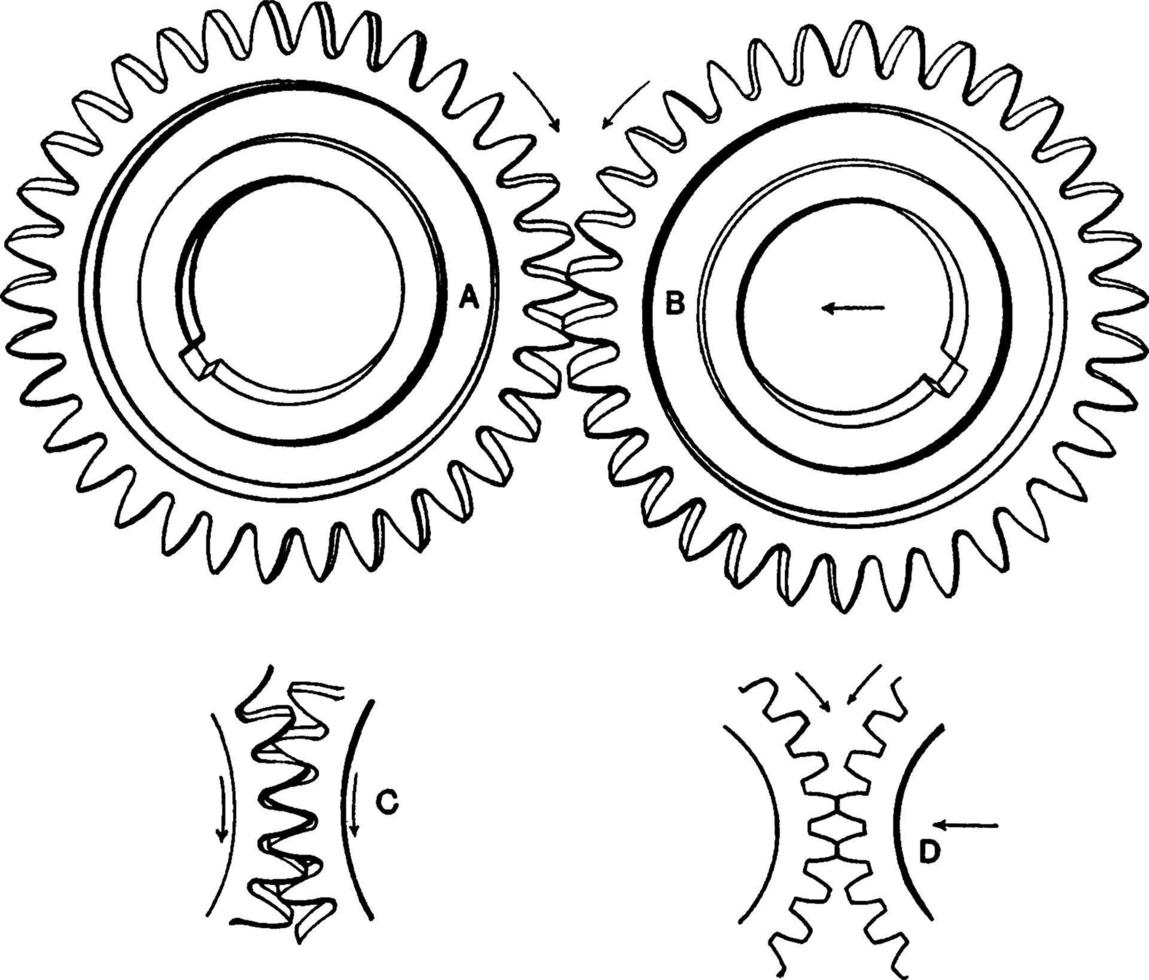 puntige tand versnellingen, wijnoogst illustratie vector