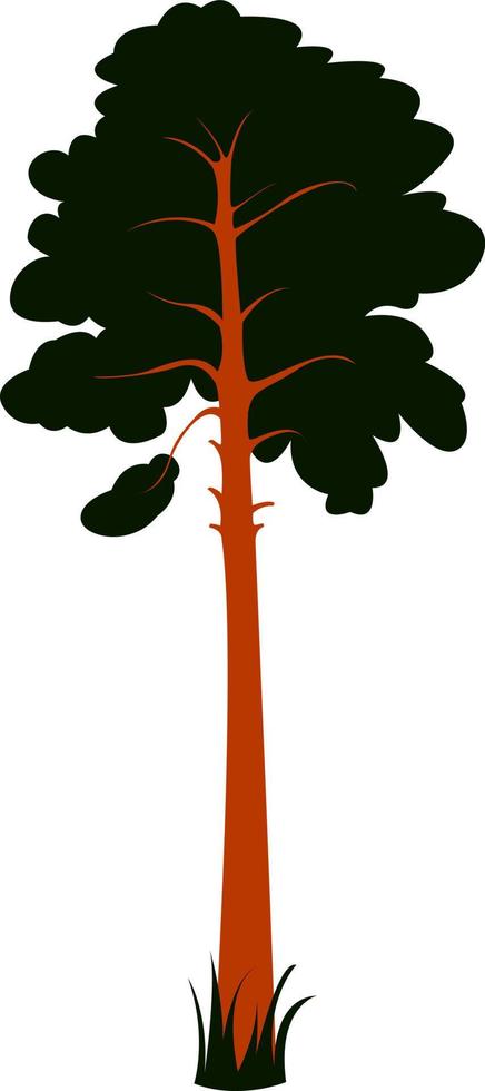 pijnboom boom, illustratie, vector Aan wit achtergrond.