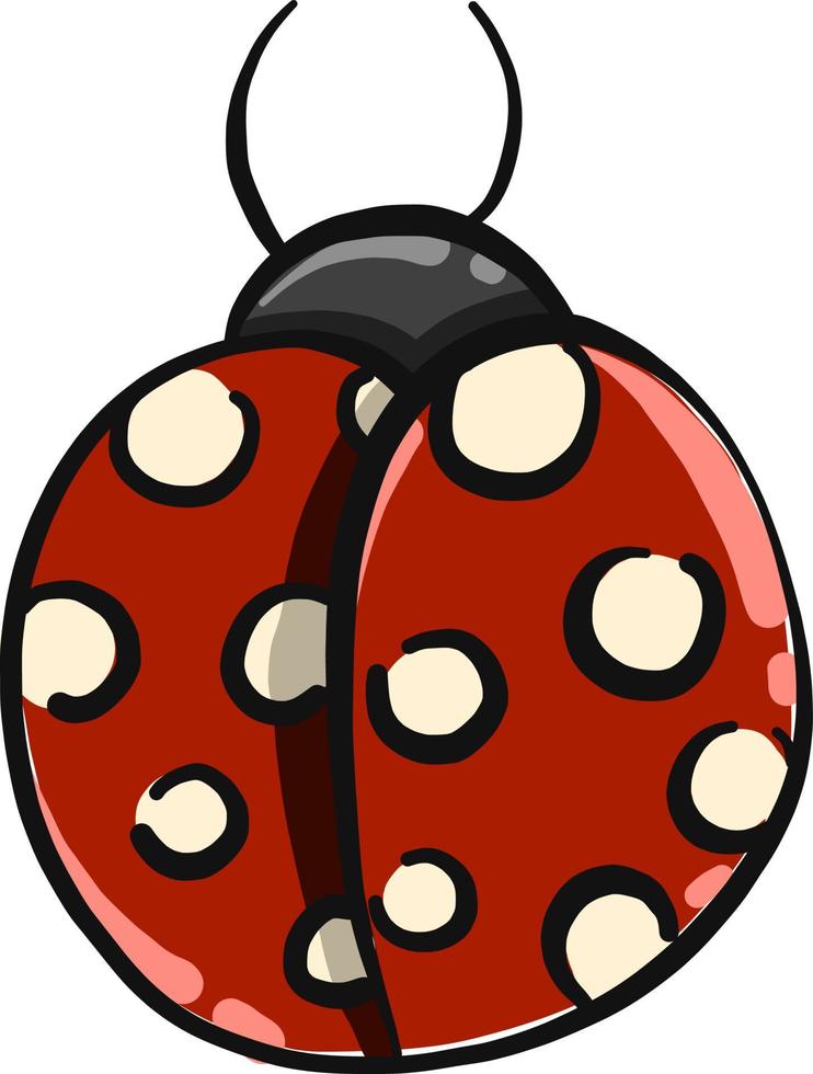rood lieveheersbeestje ,illustratie,vector Aan wit achtergrond vector