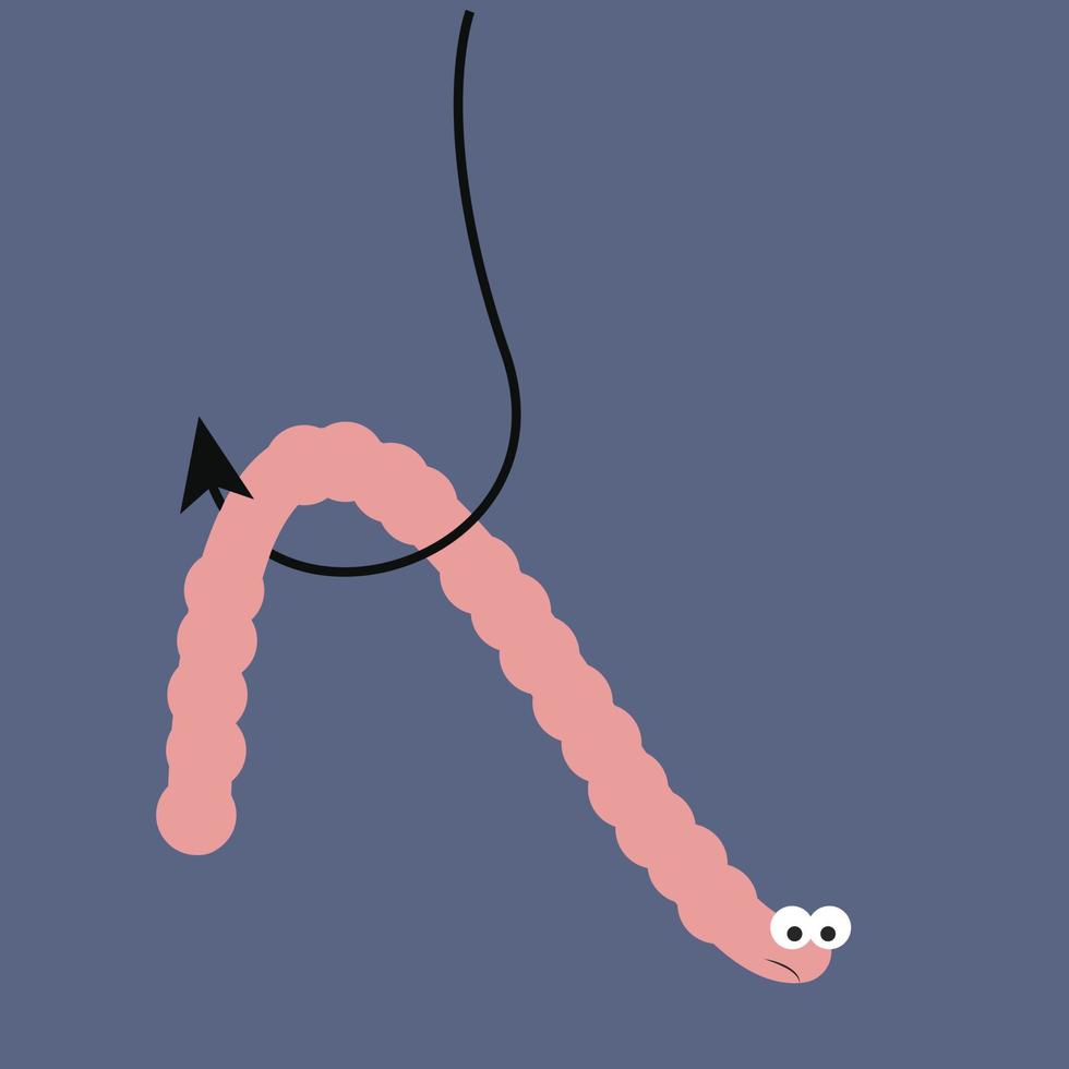 worm, illustratie, vector Aan wit achtergrond.