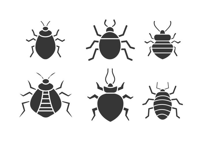Bed insect vector