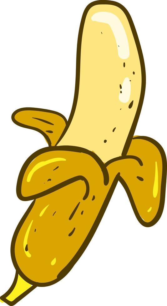 voor de helft geschild banaan, illustratie, vector Aan wit achtergrond.