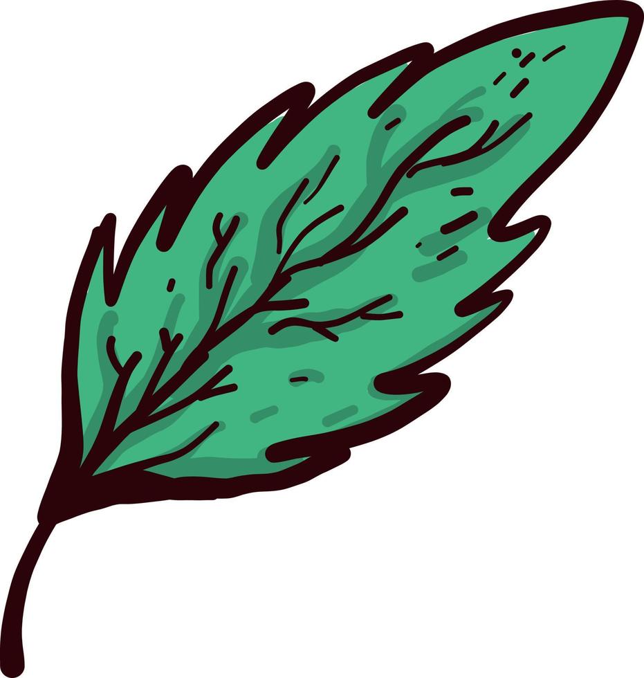 groen blad, illustratie, vector Aan wit achtergrond
