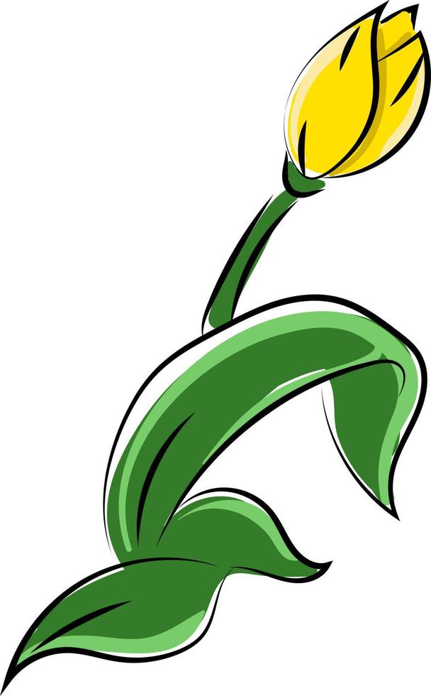 geel bloem, illustratie, vector Aan wit achtergrond.