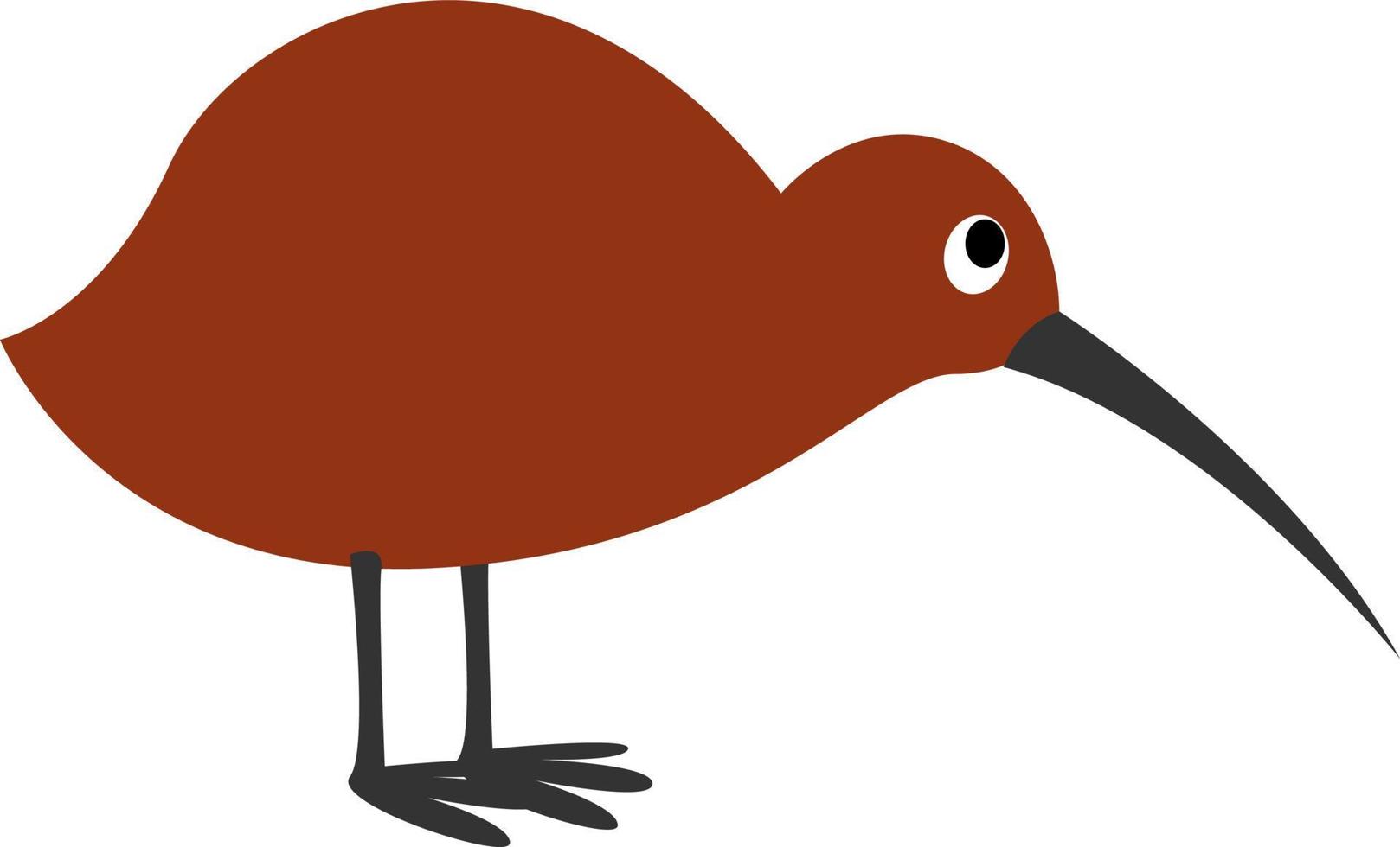 kiwi vogel, illustratie, vector Aan wit achtergrond.