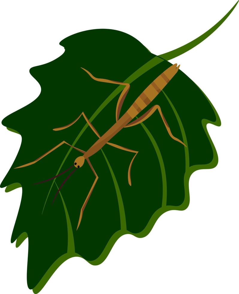 stok insect, illustratie, vector Aan wit achtergrond.