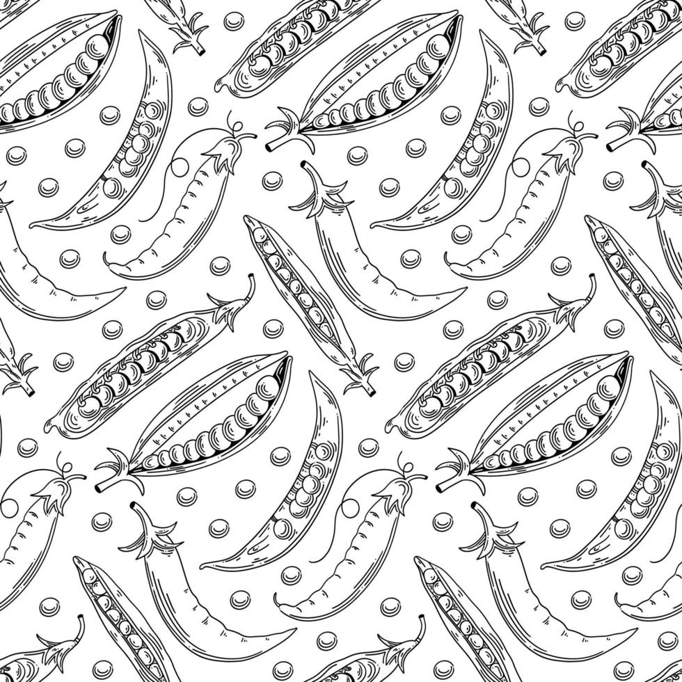 hand- getrokken naadloos patroon met erwt. monochroom achtergrond met groen bonen in schetsen stijl. vector illustratie