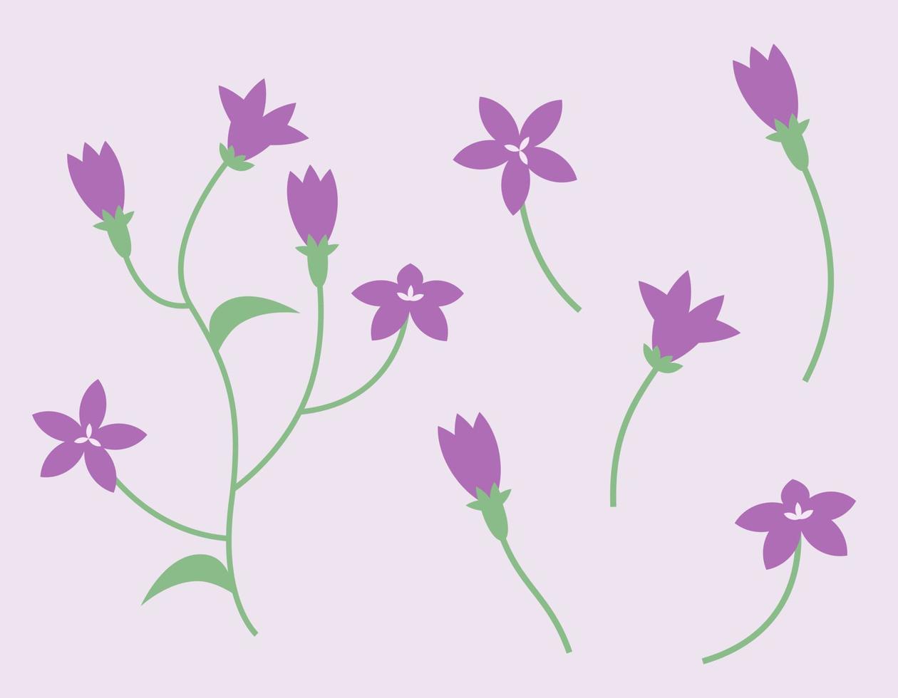 reeks van campanula ontwerp elementen. wilde bloemen in vlak stijl. vector