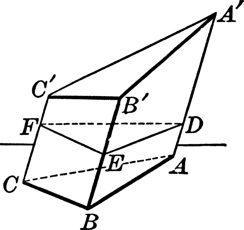 prisma met twee vierhoek gezichten, wijnoogst illustratie. vector