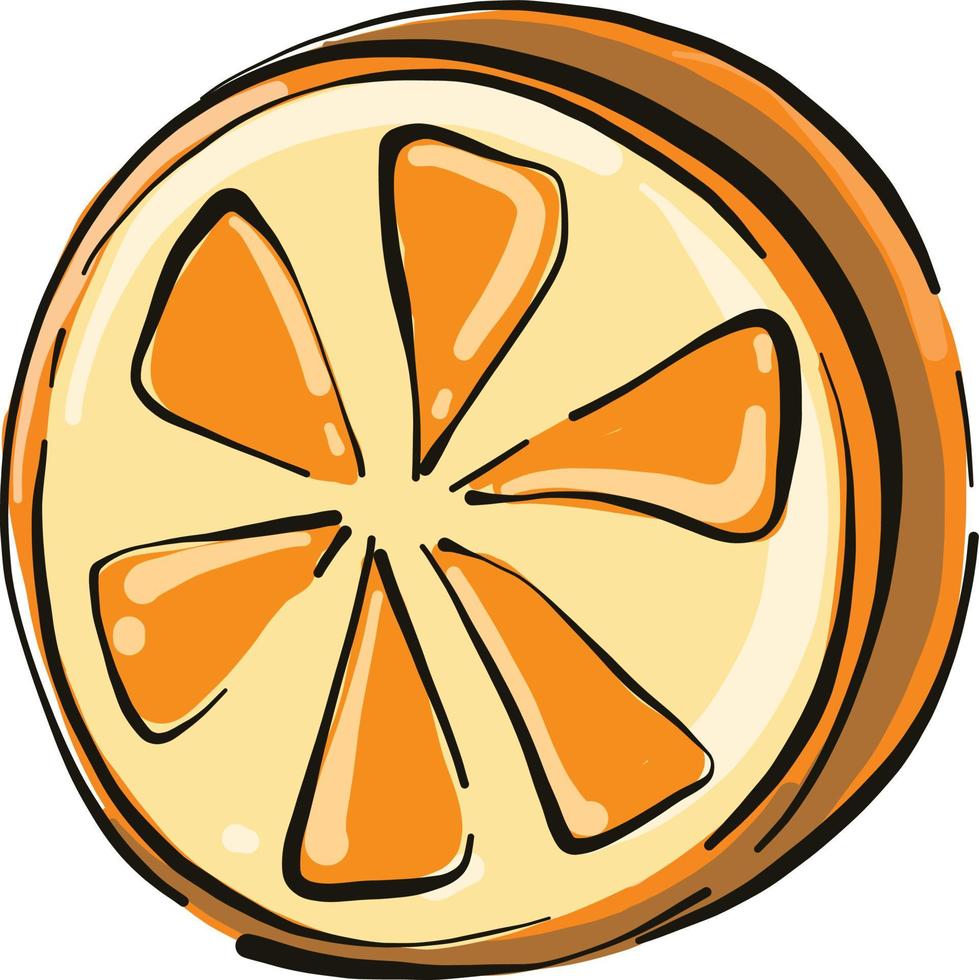 oranje de fruit, illustratie, vector Aan wit achtergrond.