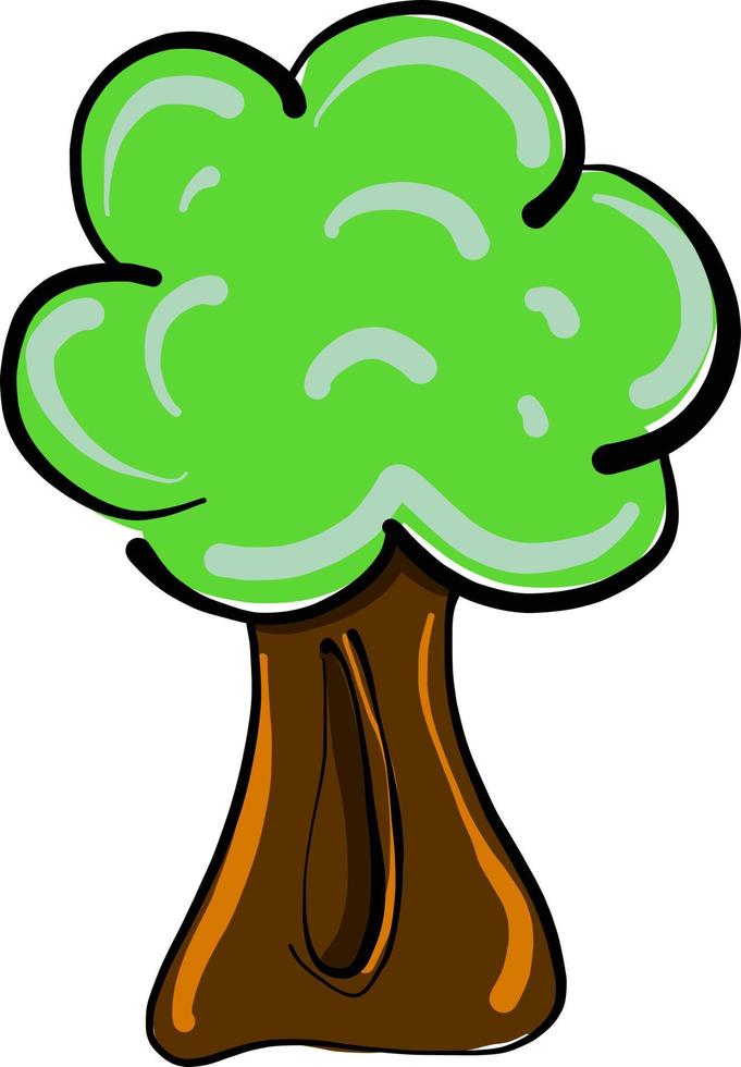 hoog groen boom ,illustratie,vector Aan wit achtergrond vector