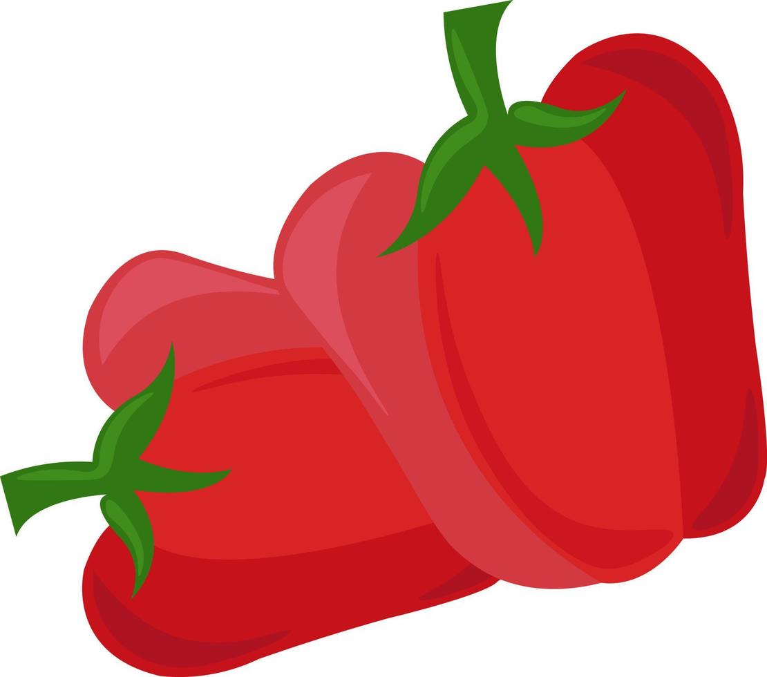 rood peper, illustratie, vector Aan wit achtergrond.