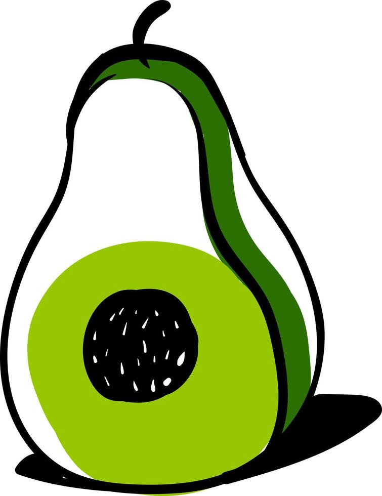 avocado tekening, illustratie, vector Aan wit achtergrond.
