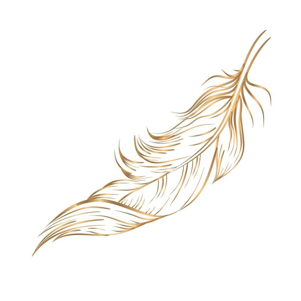 vector tekening gouden veren Aan een wit achtergrond