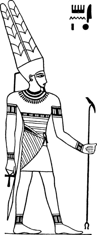 amun wijnoogst illustratie. vector