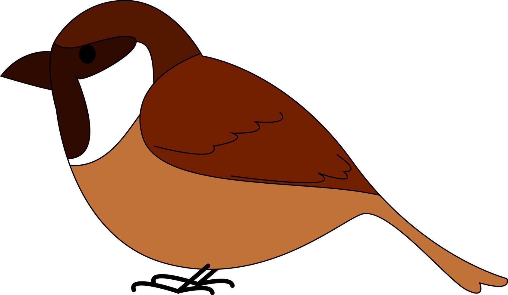 mus vogel, illustratie, vector Aan wit achtergrond.