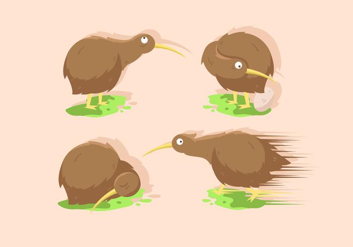 Kiwi Vogel Vector Illustratiesets