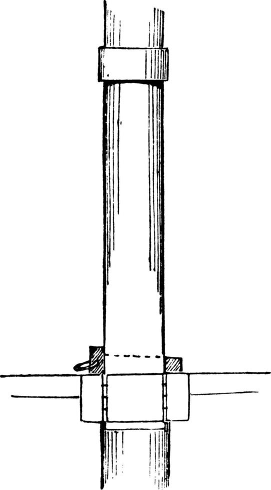 mast fid, wijnoogst illustratie. vector