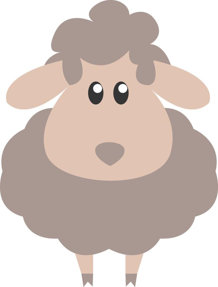 baby schaap, illustratie, vector, Aan een wit achtergrond. vector