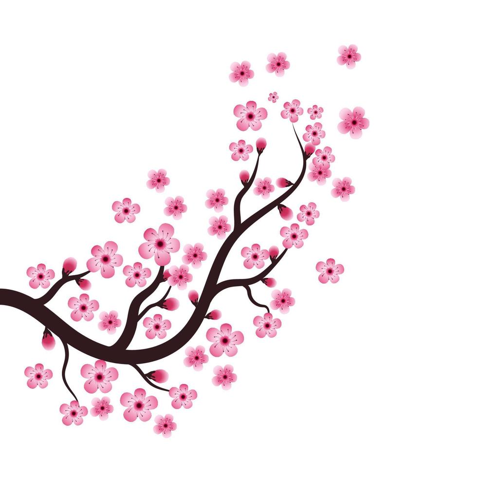 sakura schoonheid bloem vector icoon