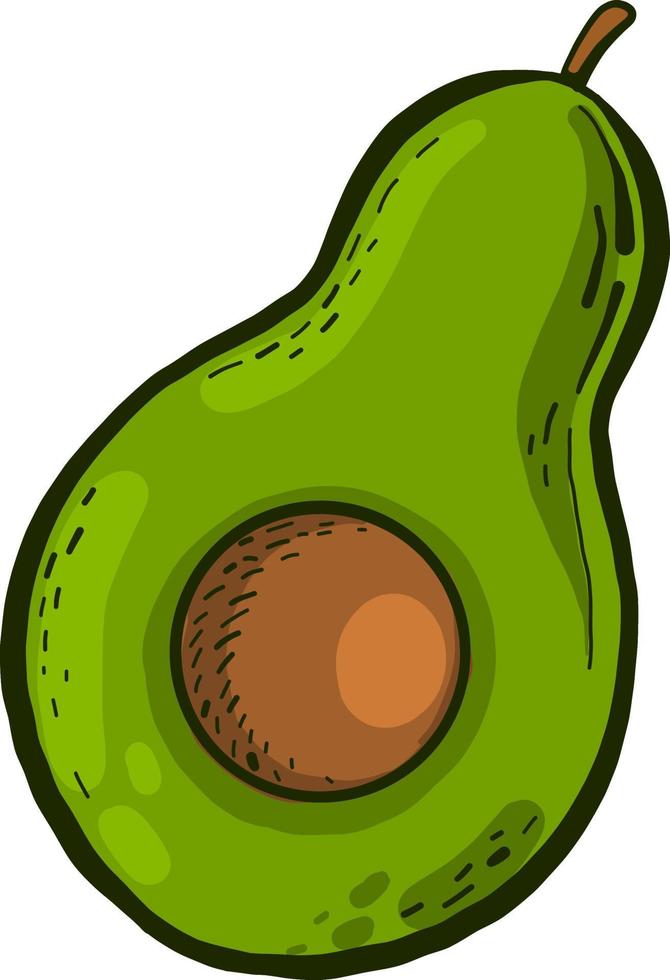 rijp avocado ,illustratie,vector Aan wit achtergrond vector